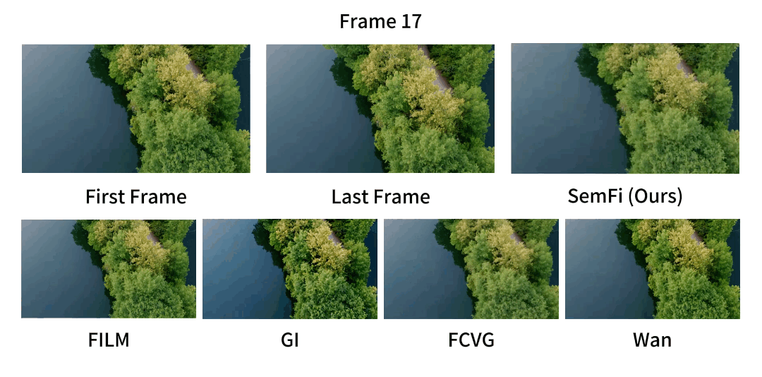 GIF 3